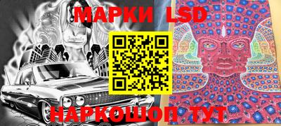гидра Новозыбков