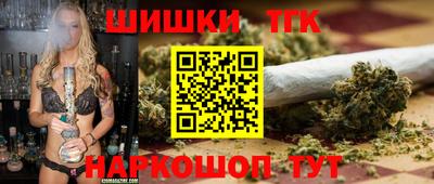 гидра Новозыбков