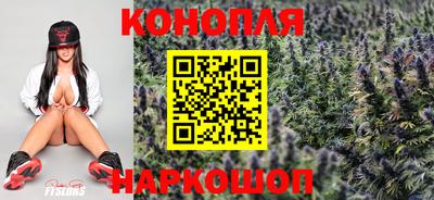 гидра Новозыбков