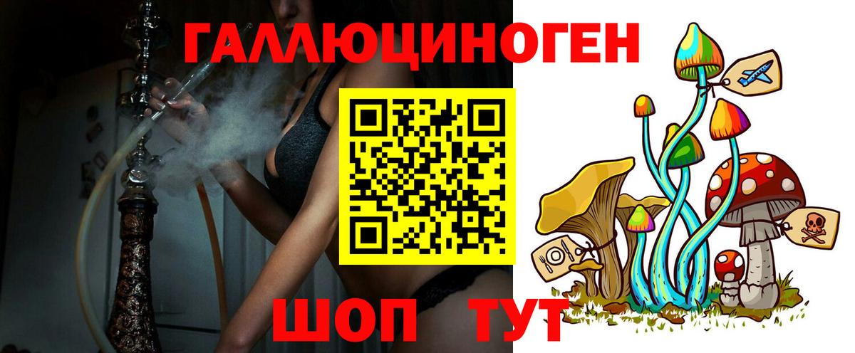 Галлюциногенные грибы Magic Shrooms  Вход с VPN  цена   Новокуйбышевск  Галлюциногенные грибы Magic Shrooms 
